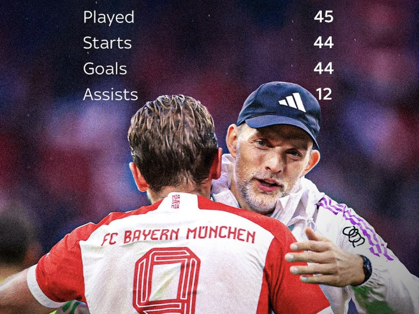 她不仅拥有 她不仅拥有